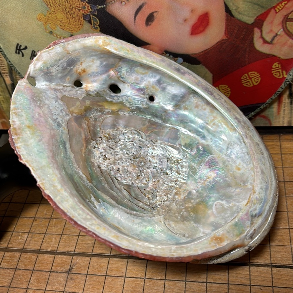 Pink Red Abalone Shell 6.75”x5.25”x2.25” Soft Pastel Iridescent Natural Seashell